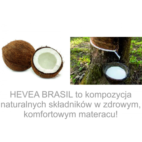 włókno kokosowe i sok z kauczukowca , naturalne składniki.